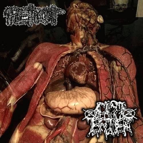 Petiot : Petiot - Cyst Eater